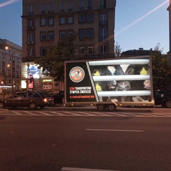 Campaigners around the world unite to Stop Live Transport