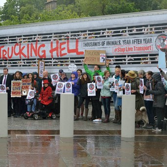 Trucking Hell: Scotland joins global campaign to Stop Live Transport