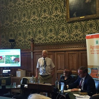 Compassion in World Farming launches report on ‘turning the food system round’