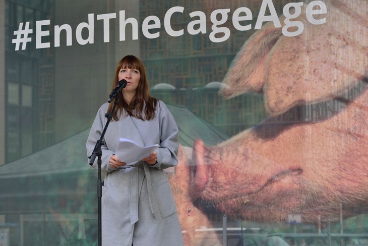 75449 © Compassion In World Farming