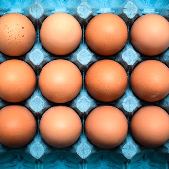 UK retailers must decide whether they will protect consumers from a host of potential threats to UK food standards in trade deals with the USA