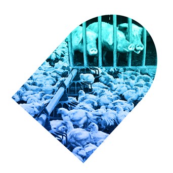 UK faces weakest antibiotics regulations in Europe