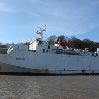 Outgoing European Commission fails to protect animals from live exports