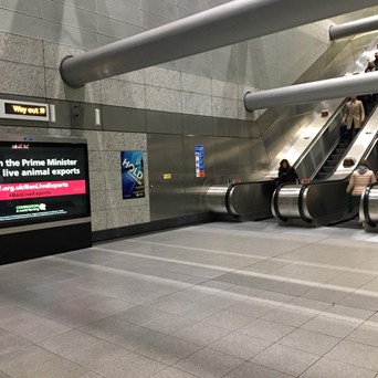 Ban Live Exports Message Reaches Millions Across London