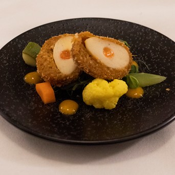 Meet Your Meat (Alternatives)