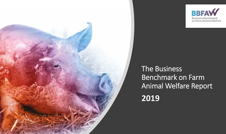 The Business Benchmark On Farm Animal Welfare Report