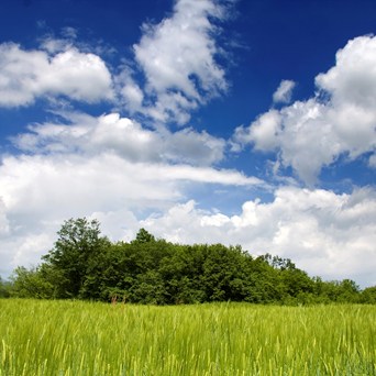 Jon Wynne-Tyson – Trailblazer and Compassion Trustee