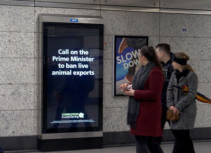 People Looking At SLT Advert