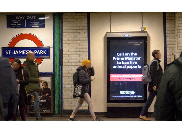 St James Park Advert