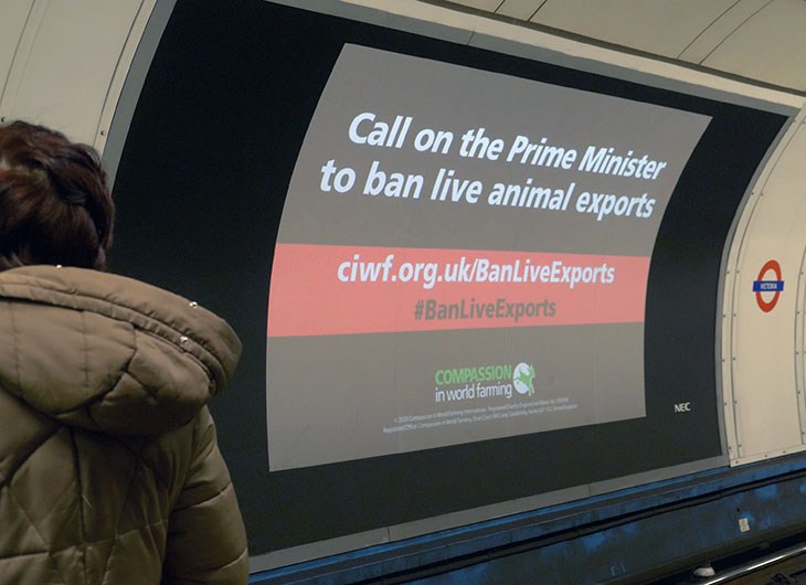 Underground Large Platform Advert