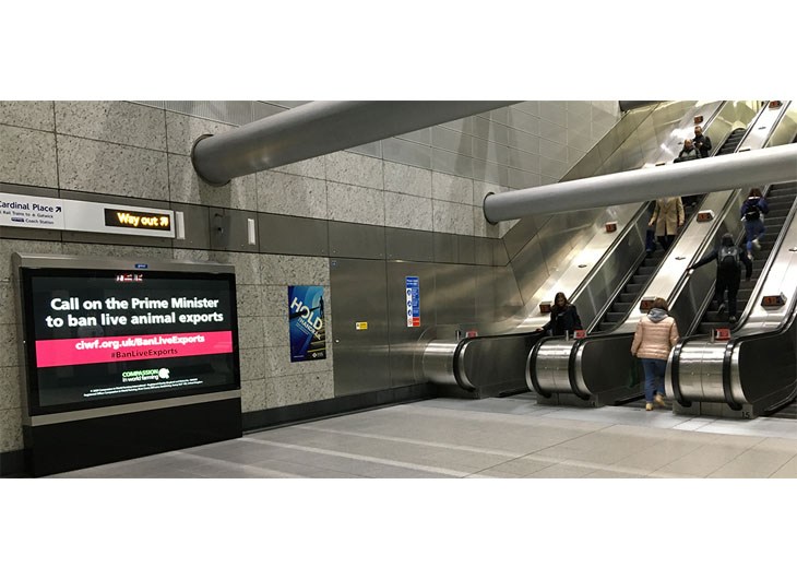 Underground Stairs