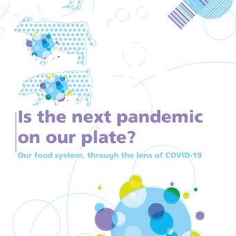 Is The Next Pandemic On Our Plate