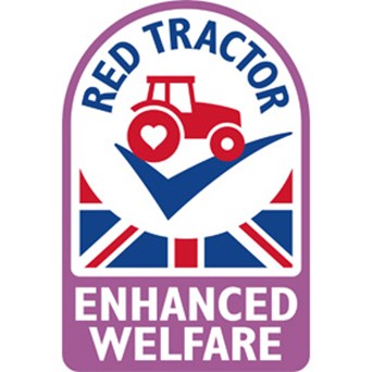 An encouraging step forward for chicken welfare