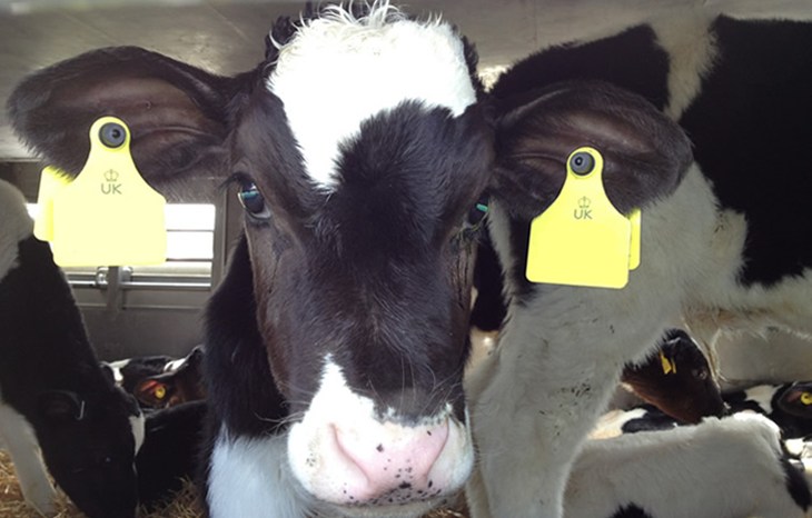 Photo4 Edited (1) (1)