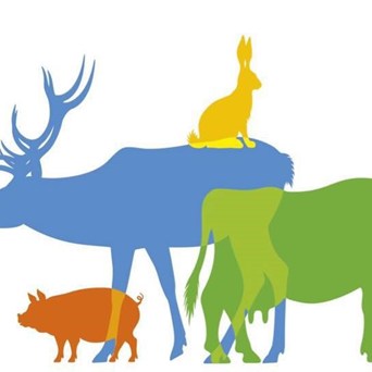 France launches a referendum for animals