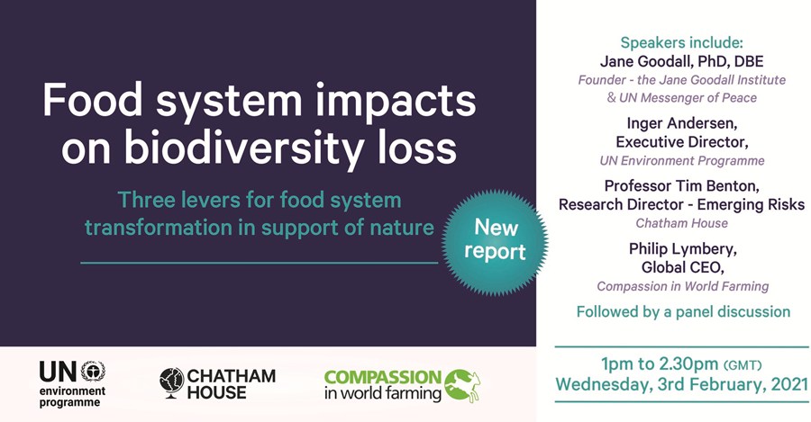 UNEP Biodiversity Webinar Full Invite Horiz (Twitter)