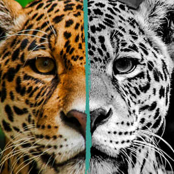 Urgent reformation of our food system needed