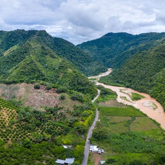 Our global food system is the primary driver of biodiversity loss