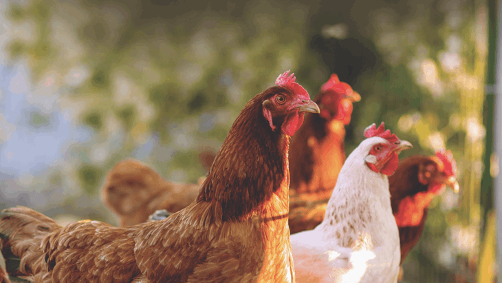 ECI Bus Letter 17 Mar 2021 Body