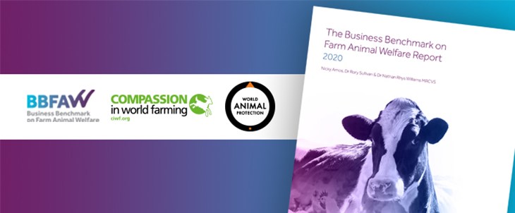 BBFAW Webbanner 700X290 PLAIN