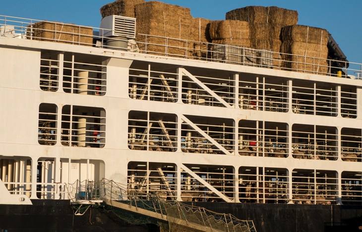 Livestock Ship 1