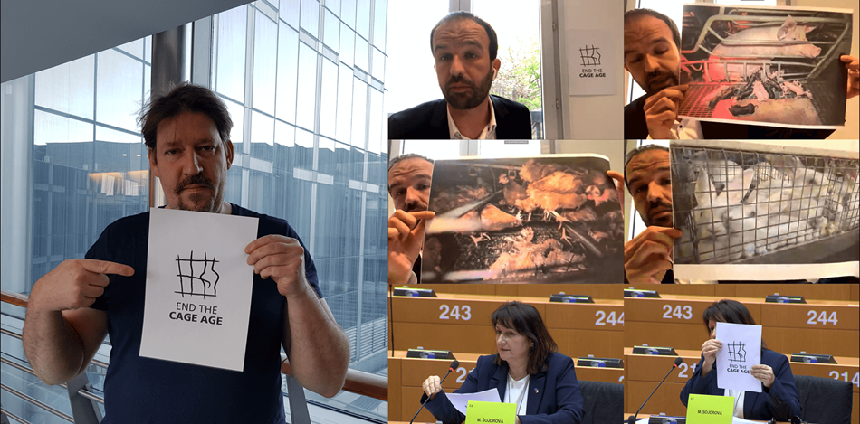 MEPs At ECI EU Parliament Hearing holding images of caged farm animals