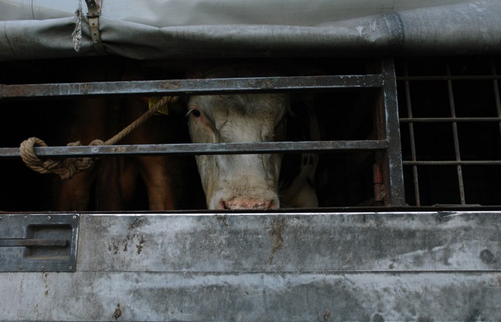 BLE IAD Image Istock Photo