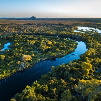 ‘One Health, One Welfare’ vital to food system reform