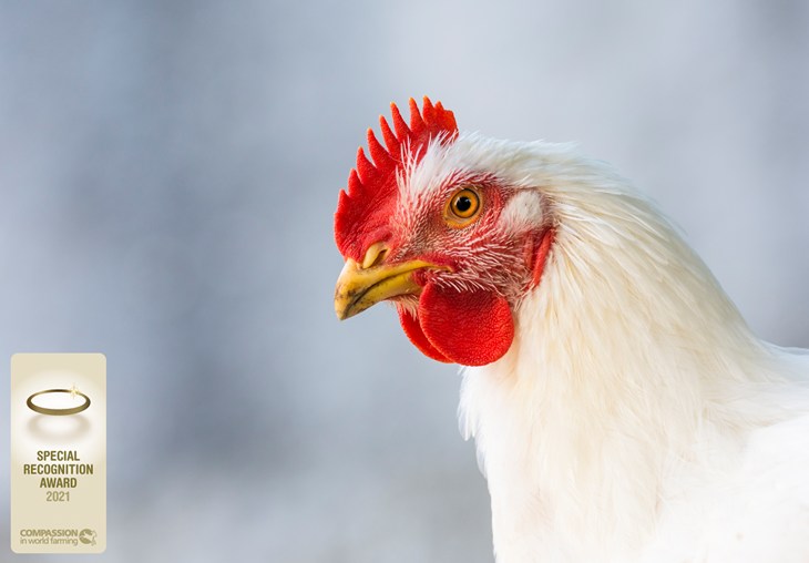 Microsoftteams Image (2)