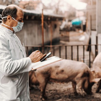 COP28 Declaration on health and climate welcomed