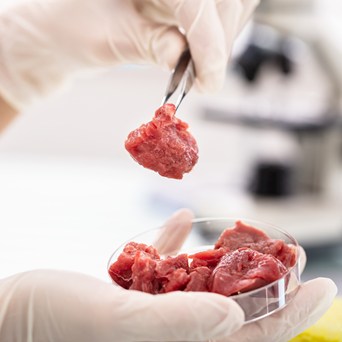 Is 2023 set to be a game-changer for lab-grown meat?