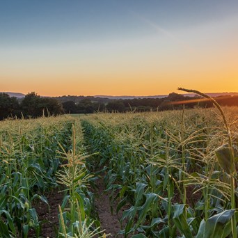 Urgent climate action needed, new report shows