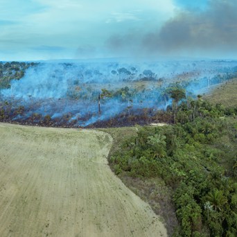 Agriculture Action Ignores Meat Reduction