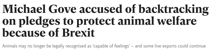 Animal sentience newspaper headline