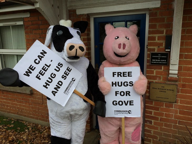 Protesting outside Michael Gove's constituency office