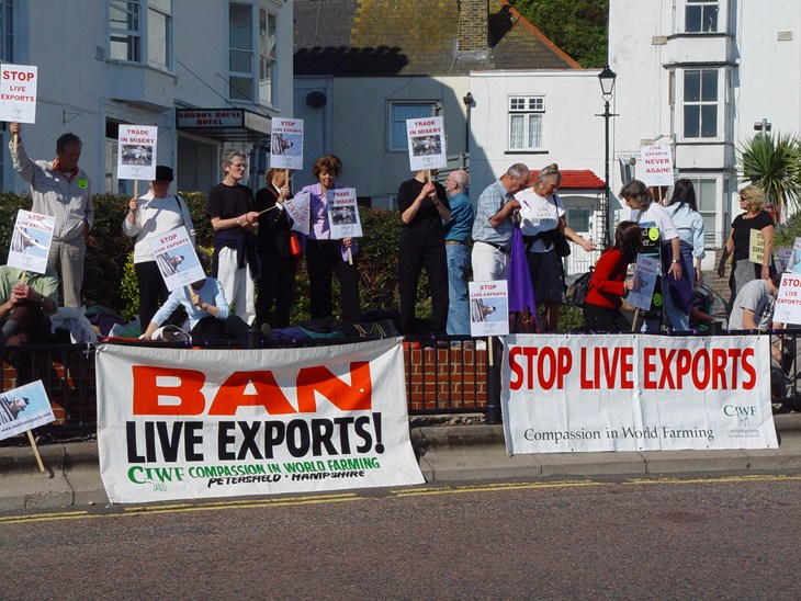 protestors ouside with signs