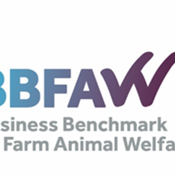 TENTH BUSINESS BENCHMARK: FASTER FARM ANIMAL WELFARE IMPACTS NEEDED