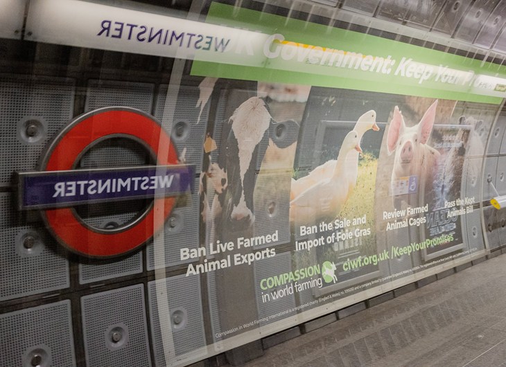 Westminster Tube Ads 13