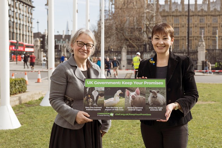 Baroness Natalie Bennett & Caroline Lucas MP holding a 'Keep Your Promises' sign with the Houses of Parliament in the background