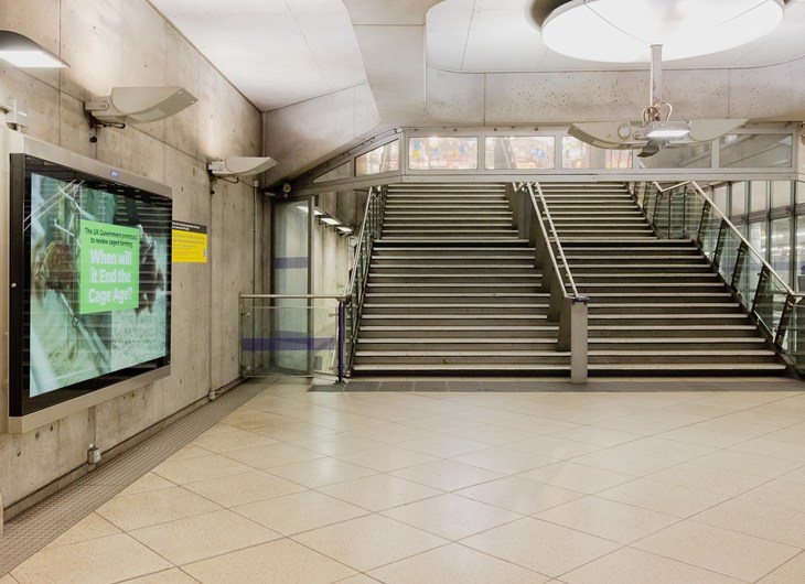 Westminster Tube Ads 16