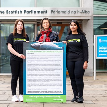 130,000 signatories back open letter submitted to Scottish Parliament urging a moratorium on Scottish salmon farming (1)