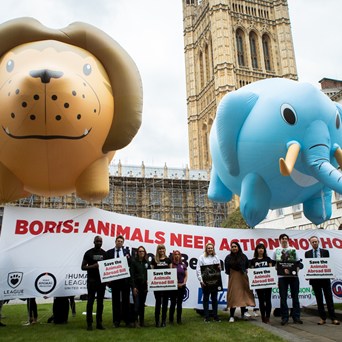 A Week of Action for Animals