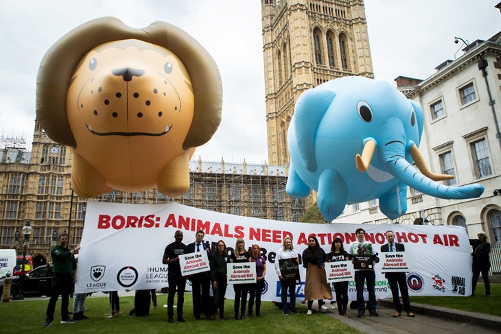 Giant balloons floating in the sky above Parliament
