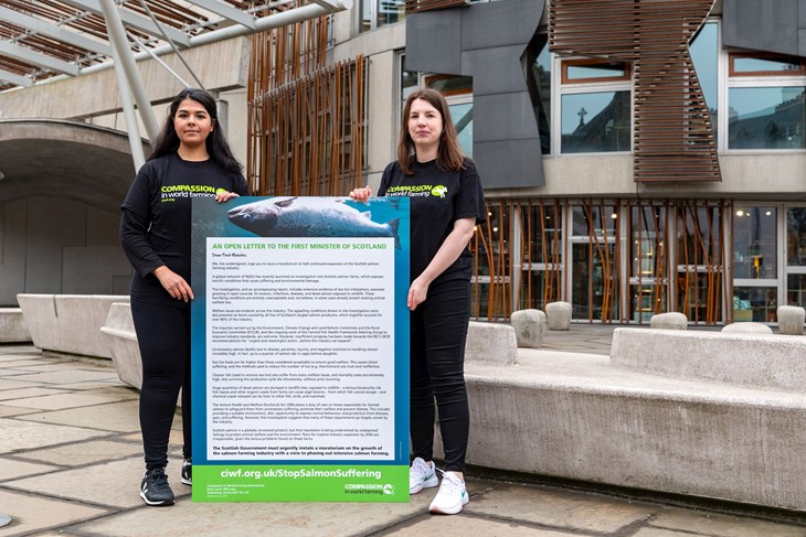 Compassion in World Farming submitted an open letter to the Scottish Parliament in March 2022
