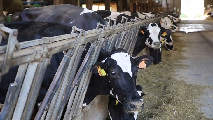 Premontato Immaginimp400 13 49 15Still009