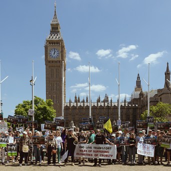 Famous faces join protest against live animal exports