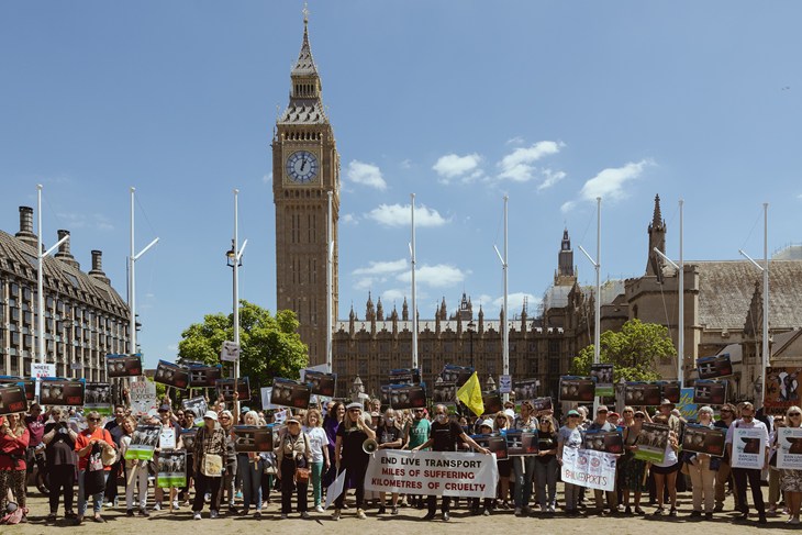 Compassion In World Farming Nacho Rivera Photographer London 1