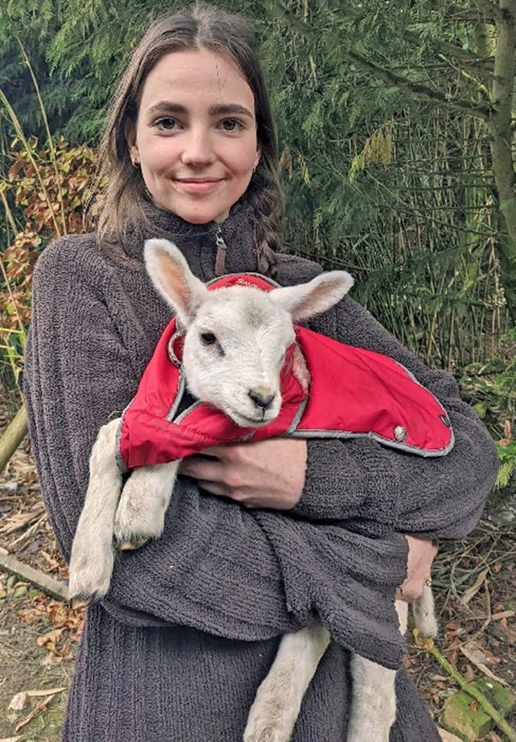 Winchester winner 2022