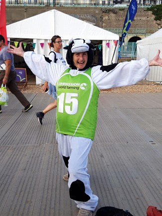 Lady wearing cow suit