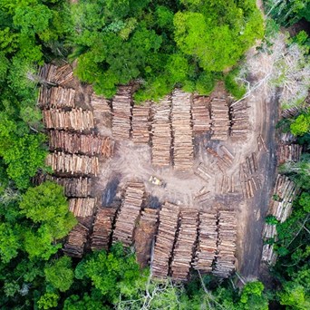 Food system transformation showcased at COP27